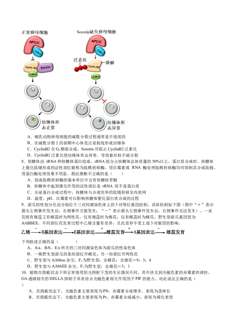 生物-2024年高考考前最后一课_2024年新高考资料_5.2024三轮冲刺_生物（含PDF版，可直接打印）-2024年高考考前最后一课