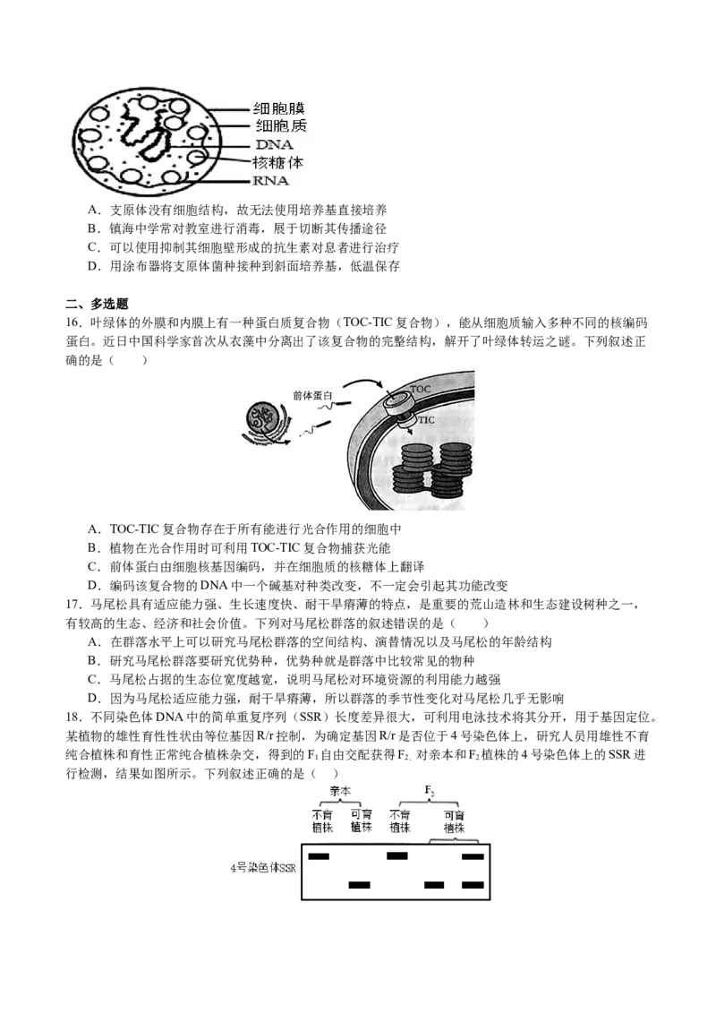 生物-2024年高考考前最后一课_2024年新高考资料_5.2024三轮冲刺_生物（含PDF版，可直接打印）-2024年高考考前最后一课