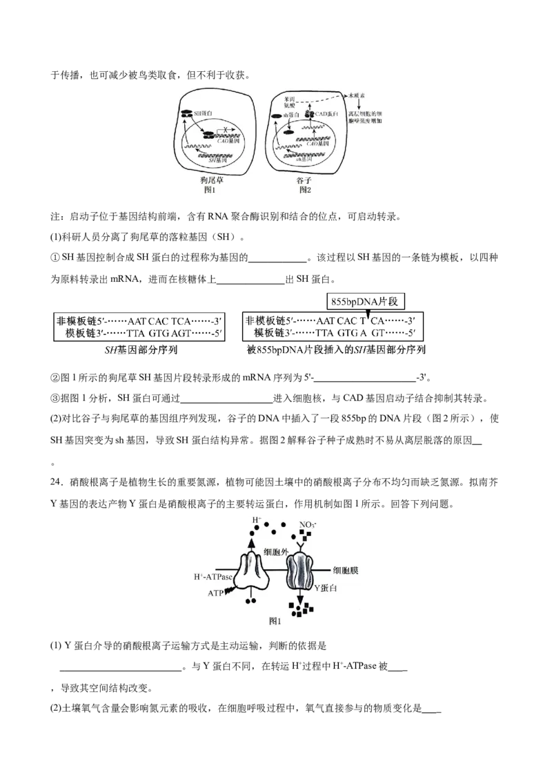 生物-2024年高考考前最后一课_2024年新高考资料_5.2024三轮冲刺_生物（含PDF版，可直接打印）-2024年高考考前最后一课