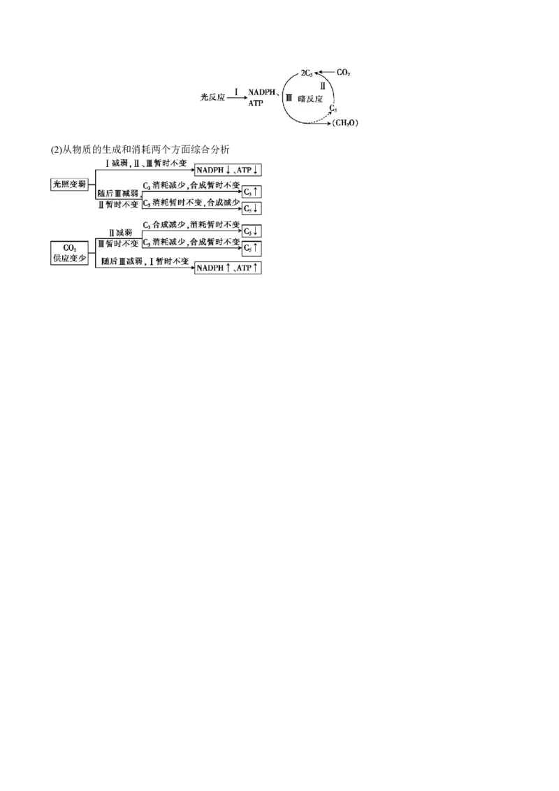 生物-2024年高考考前最后一课_2024年新高考资料_5.2024三轮冲刺_生物（含PDF版，可直接打印）-2024年高考考前最后一课