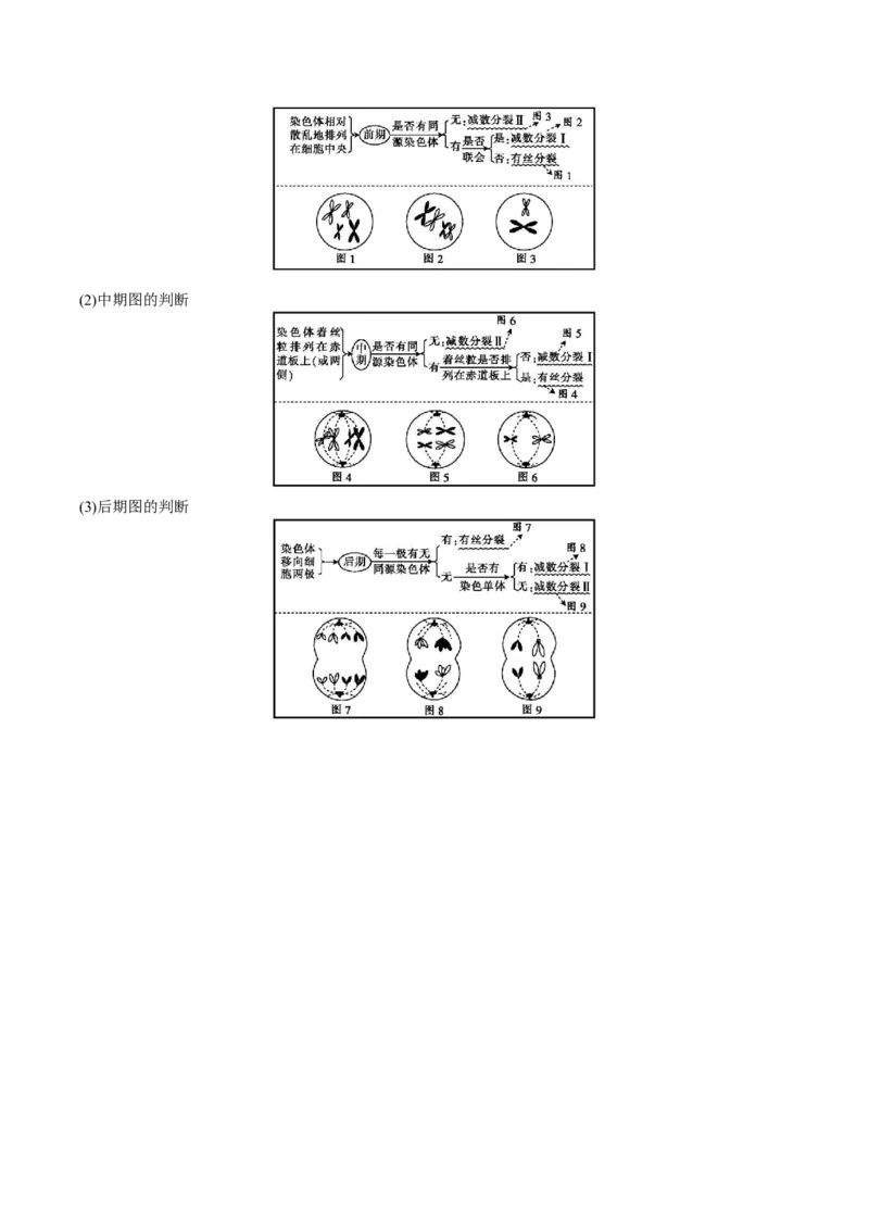 生物-2024年高考考前最后一课_2024年新高考资料_5.2024三轮冲刺_生物（含PDF版，可直接打印）-2024年高考考前最后一课