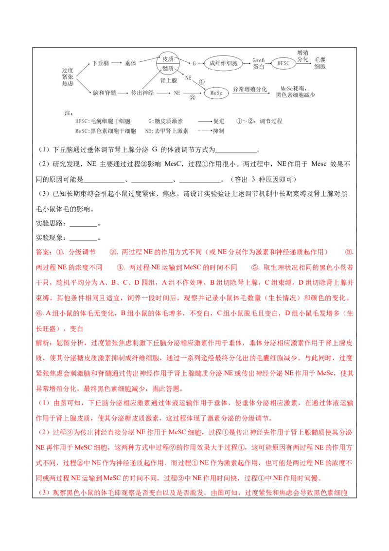 生物-2024年高考考前最后一课_2024年新高考资料_5.2024三轮冲刺_生物（含PDF版，可直接打印）-2024年高考考前最后一课