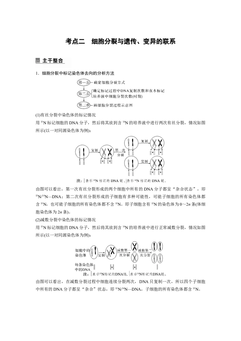 2023年高考生物二轮复习（全国版）第1篇专题突破专题3考点2　细胞分裂与遗传、变异的联系_通用版（老高考）复习资料_2023年复习资料_二轮复习_2023年高考生物二轮复习讲义（全国版）