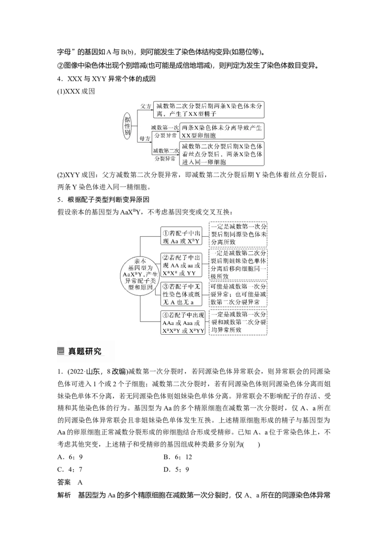 2023年高考生物二轮复习（全国版）第1篇专题突破专题3考点2　细胞分裂与遗传、变异的联系_通用版（老高考）复习资料_2023年复习资料_二轮复习_2023年高考生物二轮复习讲义（全国版）