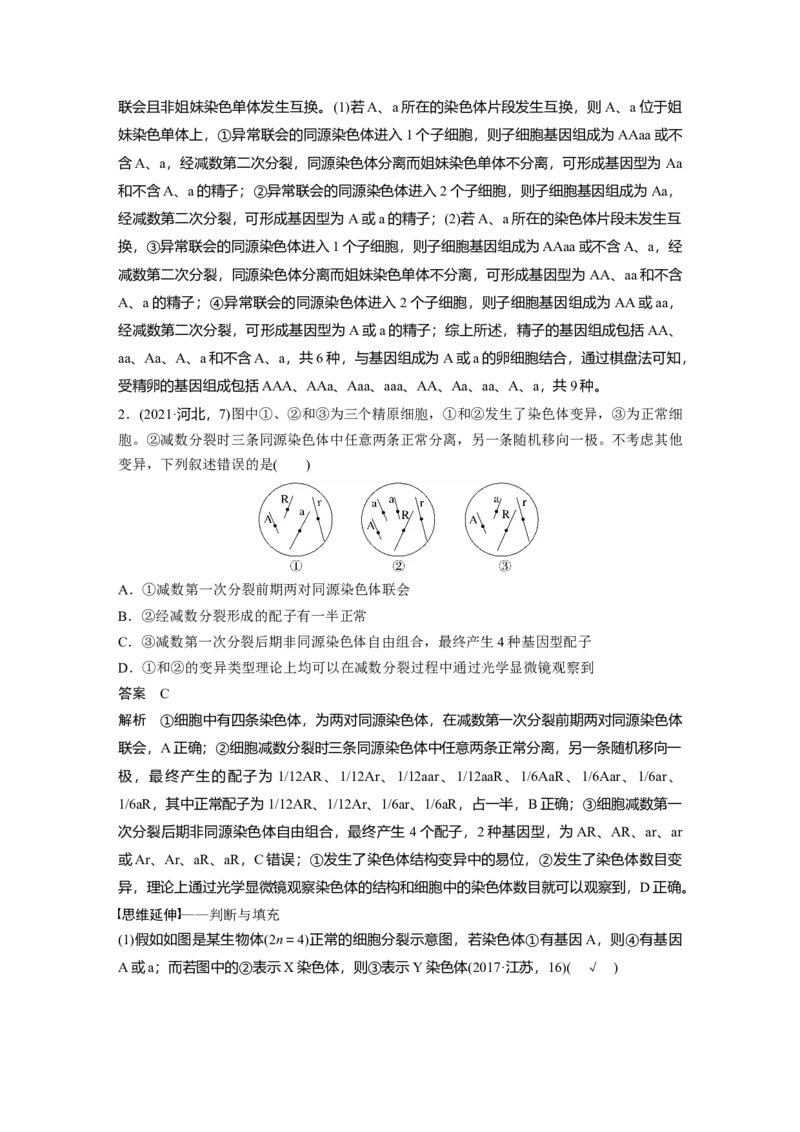 2023年高考生物二轮复习（全国版）第1篇专题突破专题3考点2　细胞分裂与遗传、变异的联系_通用版（老高考）复习资料_2023年复习资料_二轮复习_2023年高考生物二轮复习讲义（全国版）