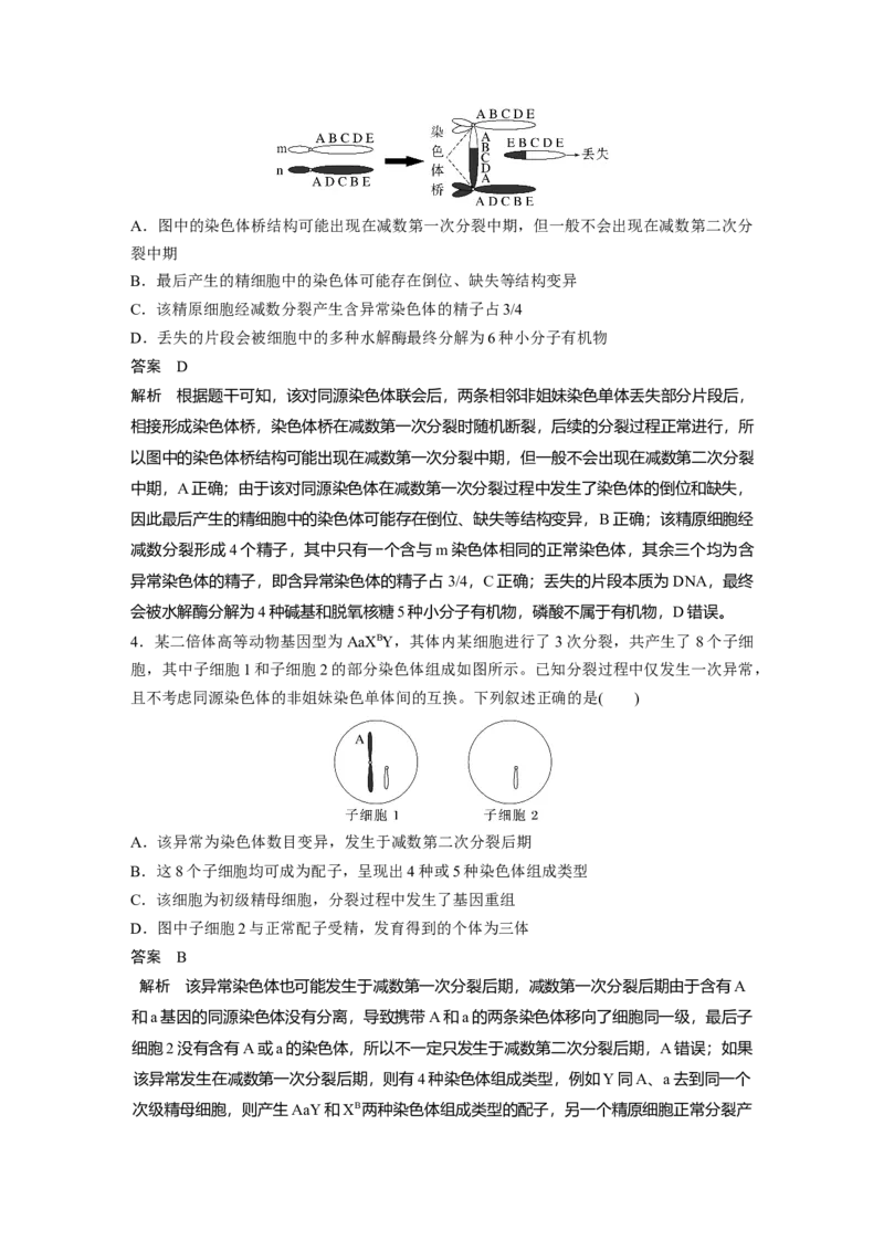 2023年高考生物二轮复习（全国版）第1篇专题突破专题3考点2　细胞分裂与遗传、变异的联系_通用版（老高考）复习资料_2023年复习资料_二轮复习_2023年高考生物二轮复习讲义（全国版）