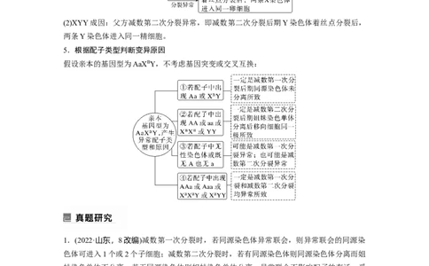 2023年高考生物二轮复习（全国版）第1篇专题突破专题3考点2　细胞分裂与遗传、变异的联系_通用版（老高考）复习资料_2023年复习资料_二轮复习_2023年高考生物二轮复习讲义（全国版）