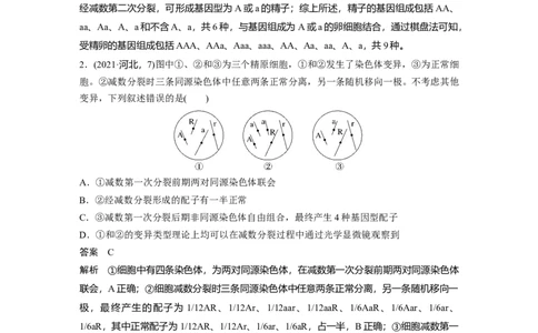 2023年高考生物二轮复习（全国版）第1篇专题突破专题3考点2　细胞分裂与遗传、变异的联系_通用版（老高考）复习资料_2023年复习资料_二轮复习_2023年高考生物二轮复习讲义（全国版）