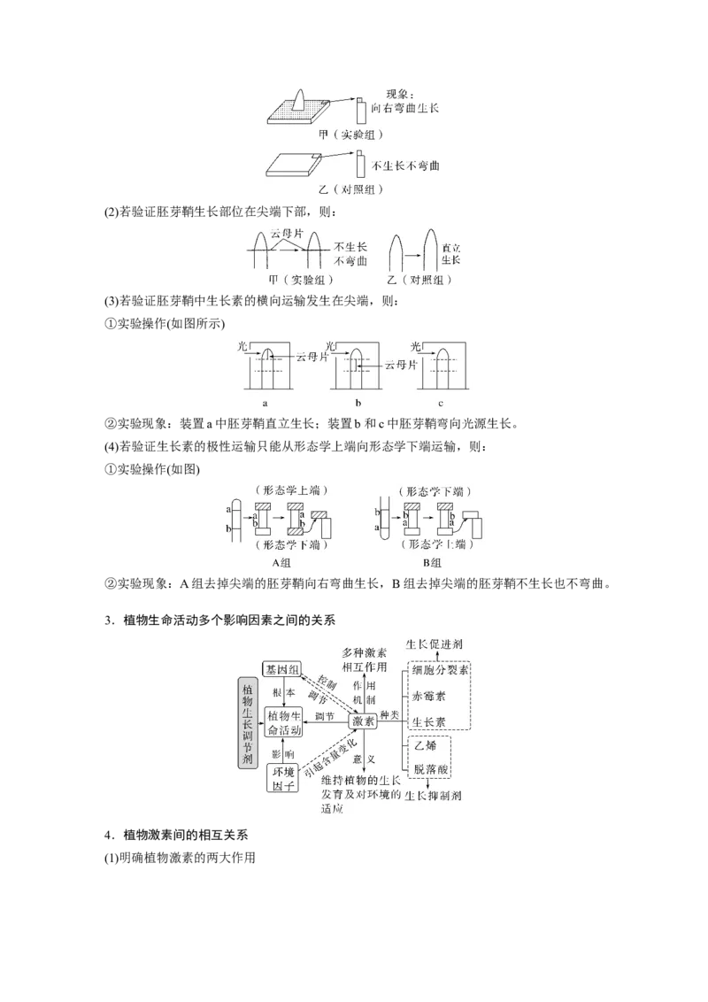 2023年高考生物二轮复习（全国版）第1篇专题突破专题6考点3　植物个体的激素调节_通用版（老高考）复习资料_2023年复习资料_二轮复习_2023年高考生物二轮复习讲义+课件（全国版）