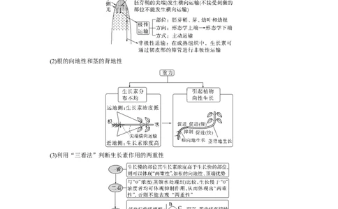 2023年高考生物二轮复习（全国版）第1篇专题突破专题6考点3　植物个体的激素调节_通用版（老高考）复习资料_2023年复习资料_二轮复习_2023年高考生物二轮复习讲义+课件（全国版）