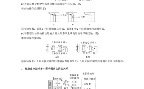2023年高考生物二轮复习（全国版）第1篇专题突破专题6考点3　植物个体的激素调节_通用版（老高考）复习资料_2023年复习资料_二轮复习_2023年高考生物二轮复习讲义+课件（全国版）