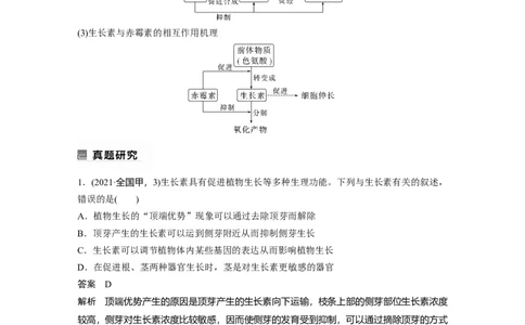 2023年高考生物二轮复习（全国版）第1篇专题突破专题6考点3　植物个体的激素调节_通用版（老高考）复习资料_2023年复习资料_二轮复习_2023年高考生物二轮复习讲义+课件（全国版）