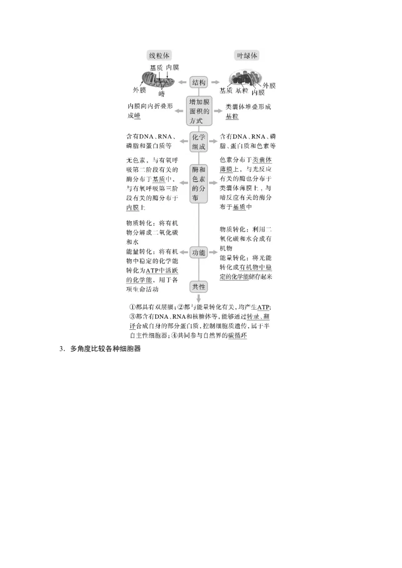 2023年高考生物一轮复习（新人教新高考）第2单元第2课时　细胞器之间的分工_新高考复习资料_2023年新高考复习资料_一轮复习_2023年新高考大一轮复习讲义