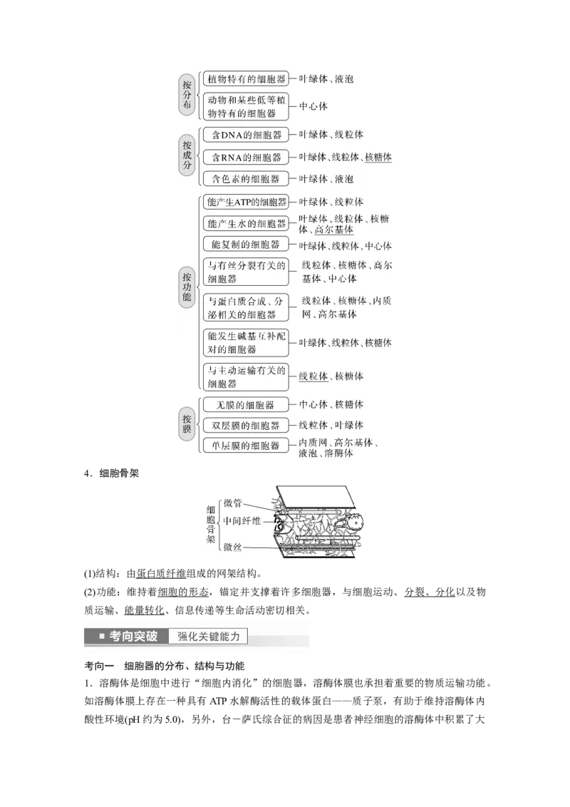 2023年高考生物一轮复习（新人教新高考）第2单元第2课时　细胞器之间的分工_新高考复习资料_2023年新高考复习资料_一轮复习_2023年新高考大一轮复习讲义