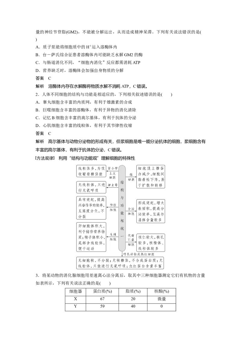 2023年高考生物一轮复习（新人教新高考）第2单元第2课时　细胞器之间的分工_新高考复习资料_2023年新高考复习资料_一轮复习_2023年新高考大一轮复习讲义