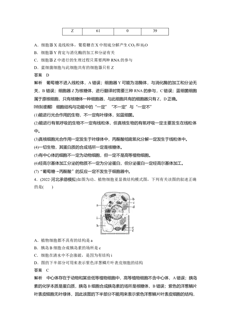 2023年高考生物一轮复习（新人教新高考）第2单元第2课时　细胞器之间的分工_新高考复习资料_2023年新高考复习资料_一轮复习_2023年新高考大一轮复习讲义