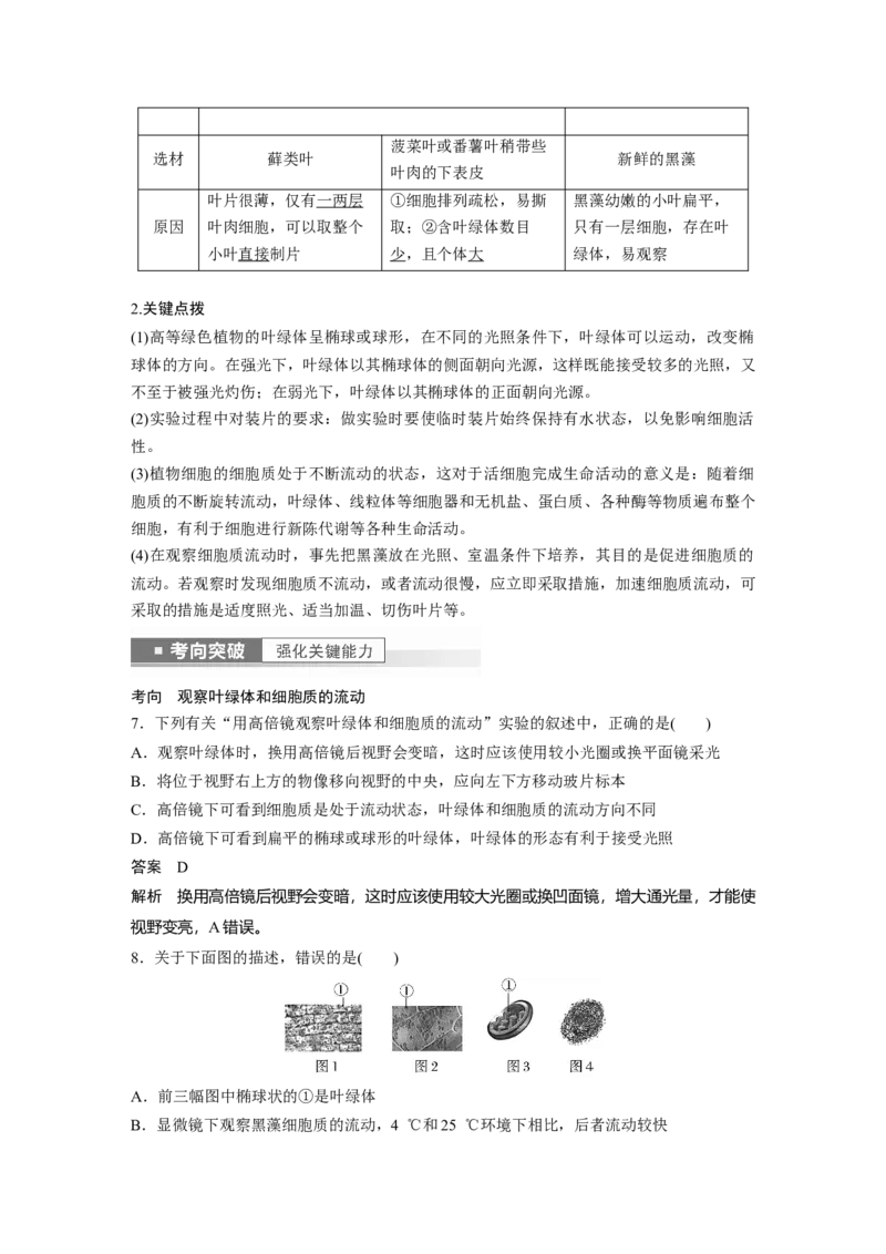 2023年高考生物一轮复习（新人教新高考）第2单元第2课时　细胞器之间的分工_新高考复习资料_2023年新高考复习资料_一轮复习_2023年新高考大一轮复习讲义