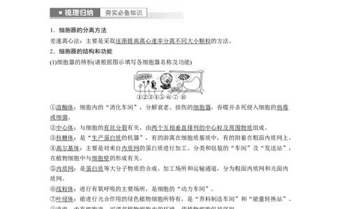 2023年高考生物一轮复习（新人教新高考）第2单元第2课时　细胞器之间的分工_新高考复习资料_2023年新高考复习资料_一轮复习_2023年新高考大一轮复习讲义