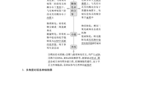 2023年高考生物一轮复习（新人教新高考）第2单元第2课时　细胞器之间的分工_新高考复习资料_2023年新高考复习资料_一轮复习_2023年新高考大一轮复习讲义