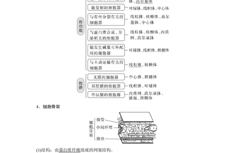 2023年高考生物一轮复习（新人教新高考）第2单元第2课时　细胞器之间的分工_新高考复习资料_2023年新高考复习资料_一轮复习_2023年新高考大一轮复习讲义