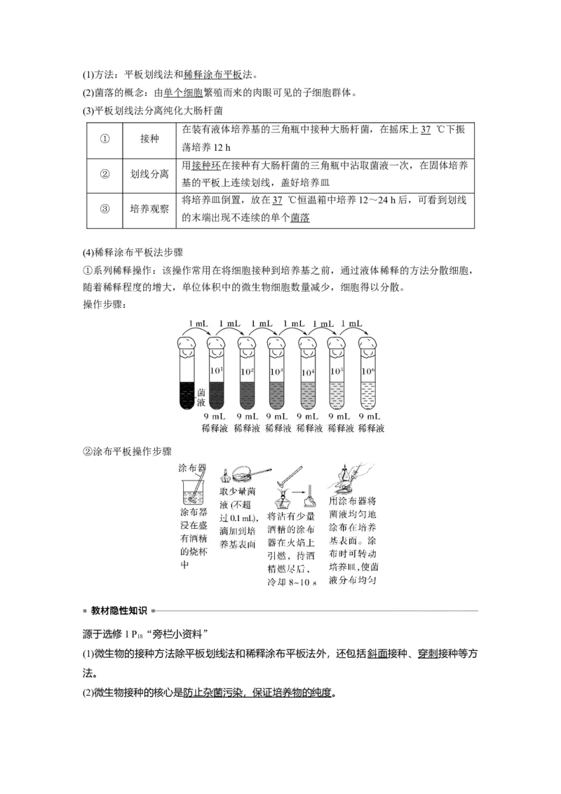 2023年高考生物一轮复习（全国版）第11单元第2课时　微生物的培养技术与应用_通用版（老高考）复习资料_2023年复习资料_一轮复习_2023年高考生物一轮复习讲义+课件（全国版）