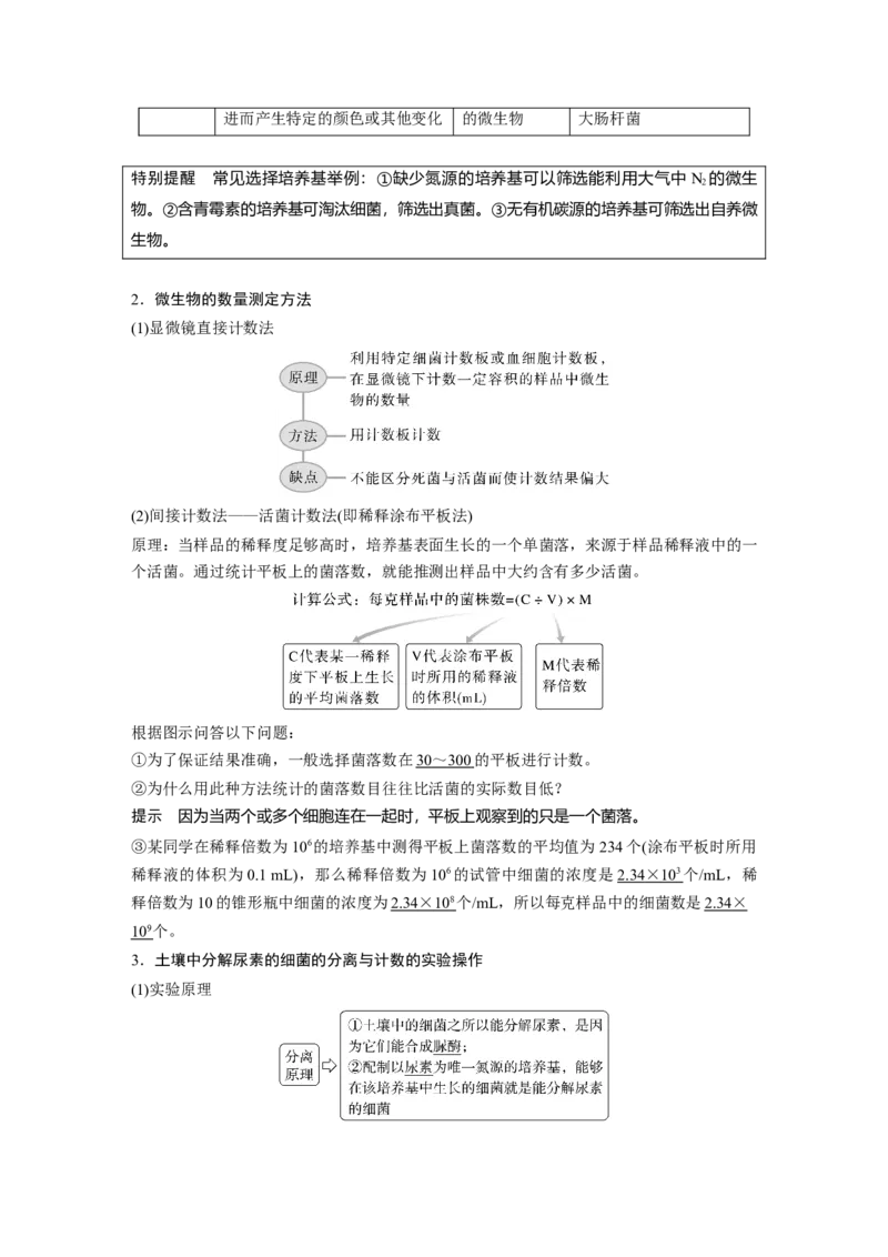 2023年高考生物一轮复习（全国版）第11单元第2课时　微生物的培养技术与应用_通用版（老高考）复习资料_2023年复习资料_一轮复习_2023年高考生物一轮复习讲义+课件（全国版）