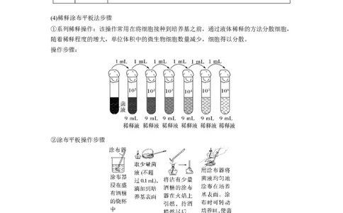 2023年高考生物一轮复习（全国版）第11单元第2课时　微生物的培养技术与应用_通用版（老高考）复习资料_2023年复习资料_一轮复习_2023年高考生物一轮复习讲义+课件（全国版）