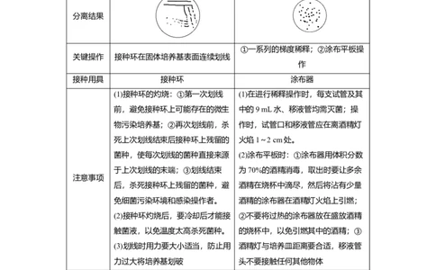 2023年高考生物一轮复习（全国版）第11单元第2课时　微生物的培养技术与应用_通用版（老高考）复习资料_2023年复习资料_一轮复习_2023年高考生物一轮复习讲义+课件（全国版）