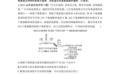 热点微练1蛋白质的结构与功能(尖子生特训)_2024年新高考资料_1.2024一轮复习_2024年高考生物一轮复习讲义（新人教版）_另附1套Word版题库_必修1_第一单元组成细胞的分子