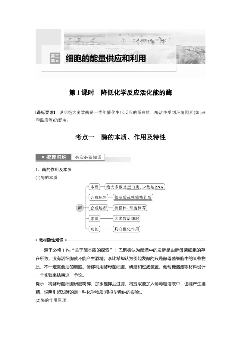 2023年高考生物一轮复习（新人教新高考）第3单元第1课时　降低化学反应活化能的酶_新高考复习资料_2023年新高考复习资料_一轮复习_2023年新高考大一轮复习讲义