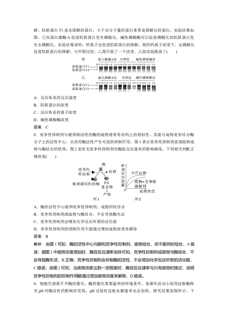 2023年高考生物一轮复习（新人教新高考）第3单元第1课时　降低化学反应活化能的酶_新高考复习资料_2023年新高考复习资料_一轮复习_2023年新高考大一轮复习讲义