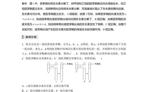 2022年高考生物一轮复习第8单元热点题型九植物激素调节的相关实验探究_新高考复习资料_2022年新高考复习资料_2022年一轮复习最新版_1.2022年高考生物一轮复习全国通用版