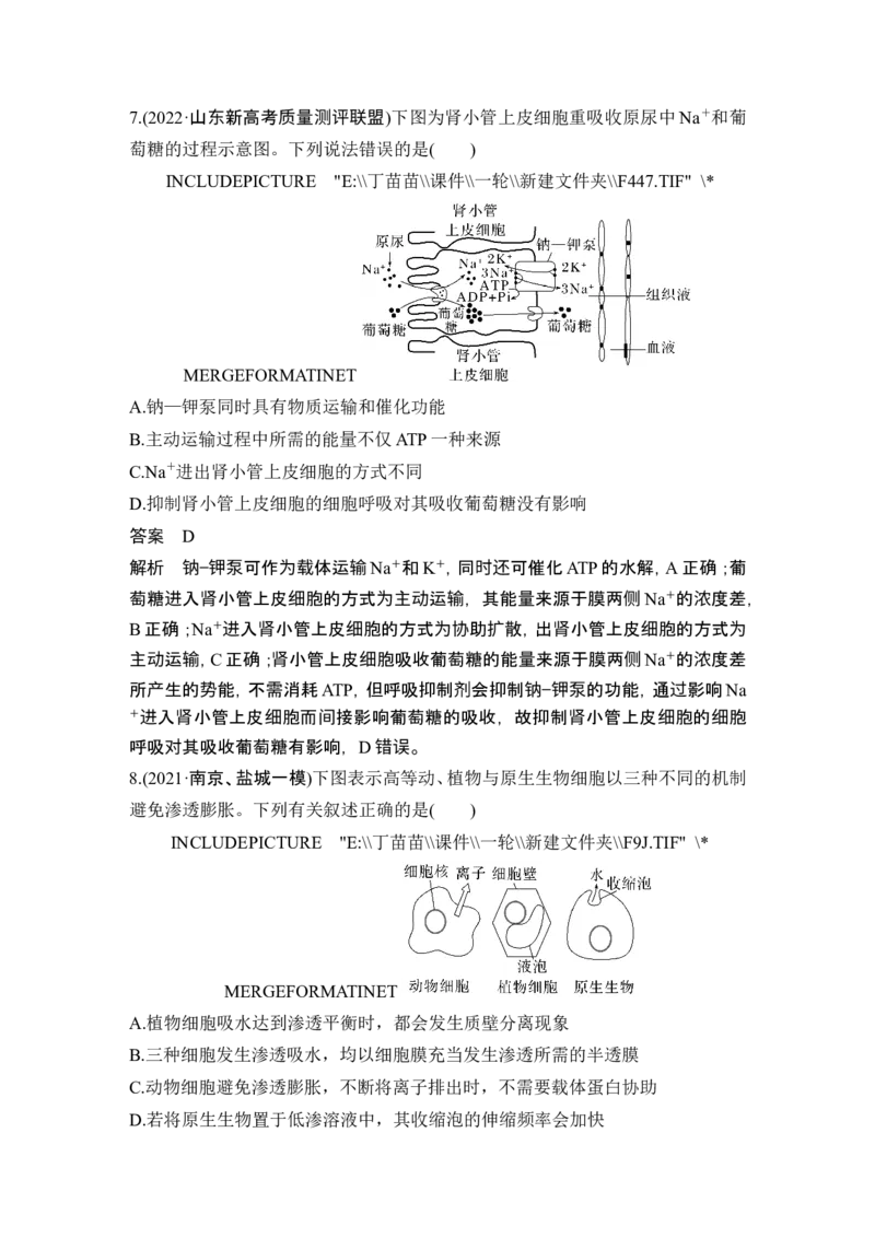 热点微练4物质出入细胞的方式(尖子生特训)_2024年新高考资料_1.2024一轮复习_2024年高考生物一轮复习讲义（新人教版）_另附1套Word版题库_必修1_第二单元细胞的基本结构与物质运输