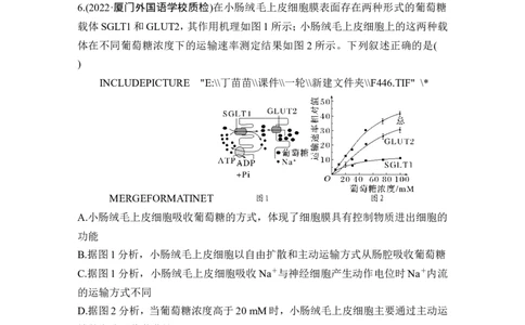 热点微练4物质出入细胞的方式(尖子生特训)_2024年新高考资料_1.2024一轮复习_2024年高考生物一轮复习讲义（新人教版）_另附1套Word版题库_必修1_第二单元细胞的基本结构与物质运输