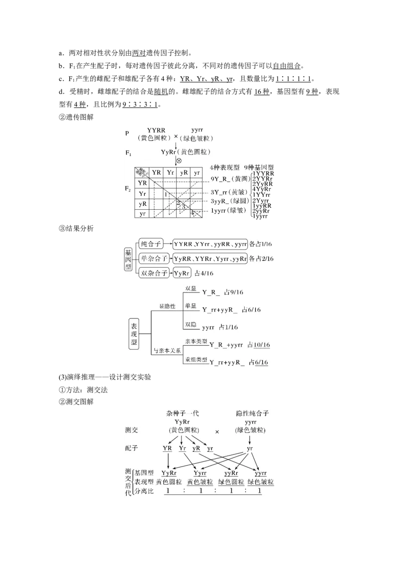 2023年高考生物一轮复习（全国版）第5单元第3课时　自由组合定律的发现及应用_通用版（老高考）复习资料_2023年复习资料_一轮复习_2023年高考生物一轮复习讲义+课件（全国版）