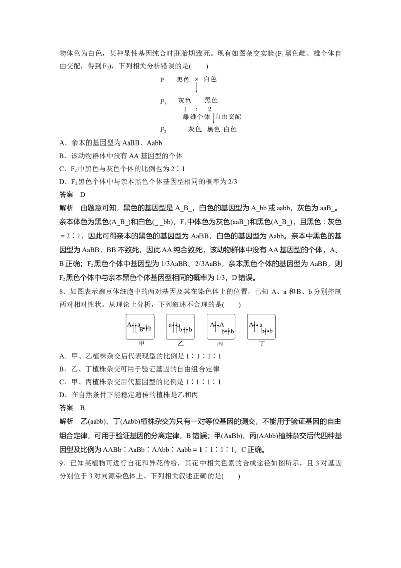 2023年高考生物一轮复习（全国版）第5单元第3课时　自由组合定律的发现及应用_通用版（老高考）复习资料_2023年复习资料_一轮复习_2023年高考生物一轮复习讲义+课件（全国版）