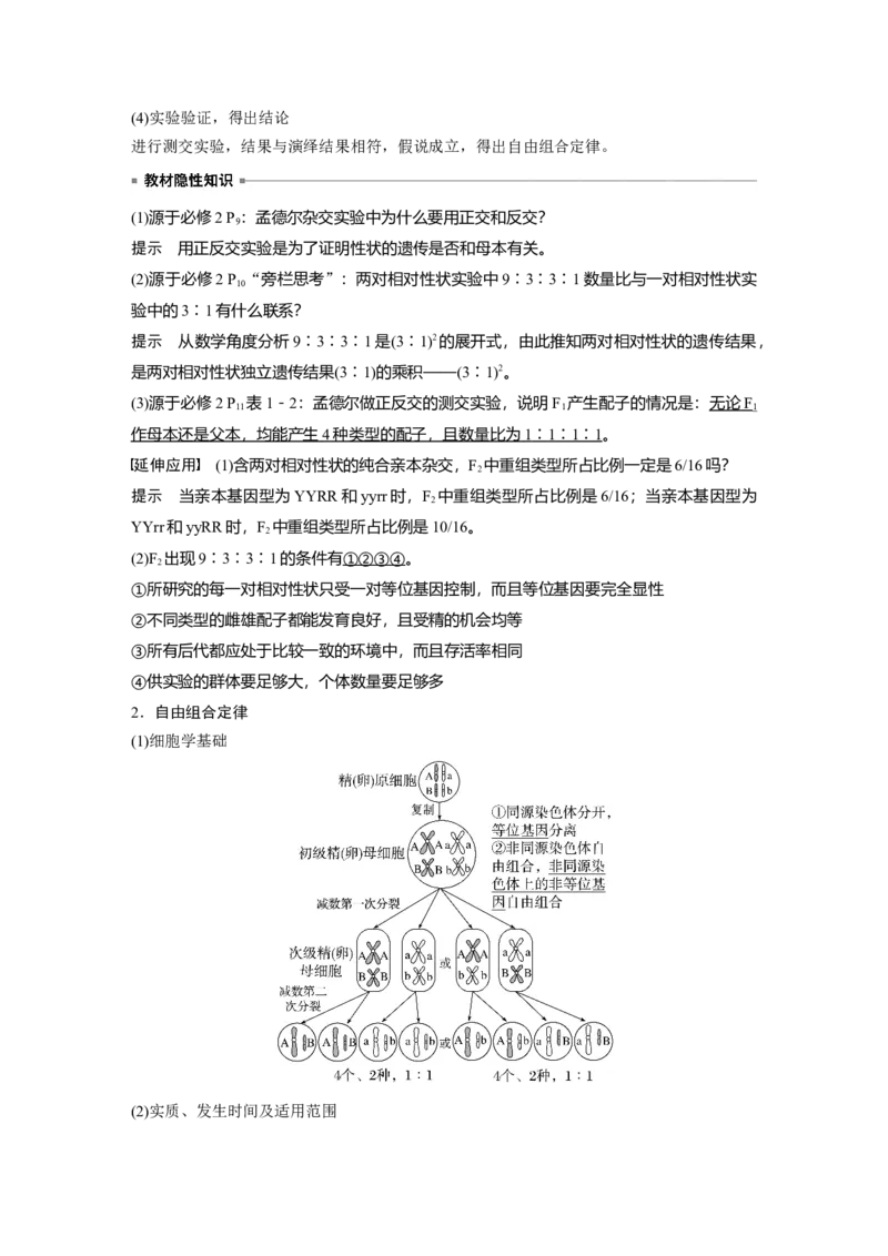 2023年高考生物一轮复习（全国版）第5单元第3课时　自由组合定律的发现及应用_通用版（老高考）复习资料_2023年复习资料_一轮复习_2023年高考生物一轮复习讲义+课件（全国版）