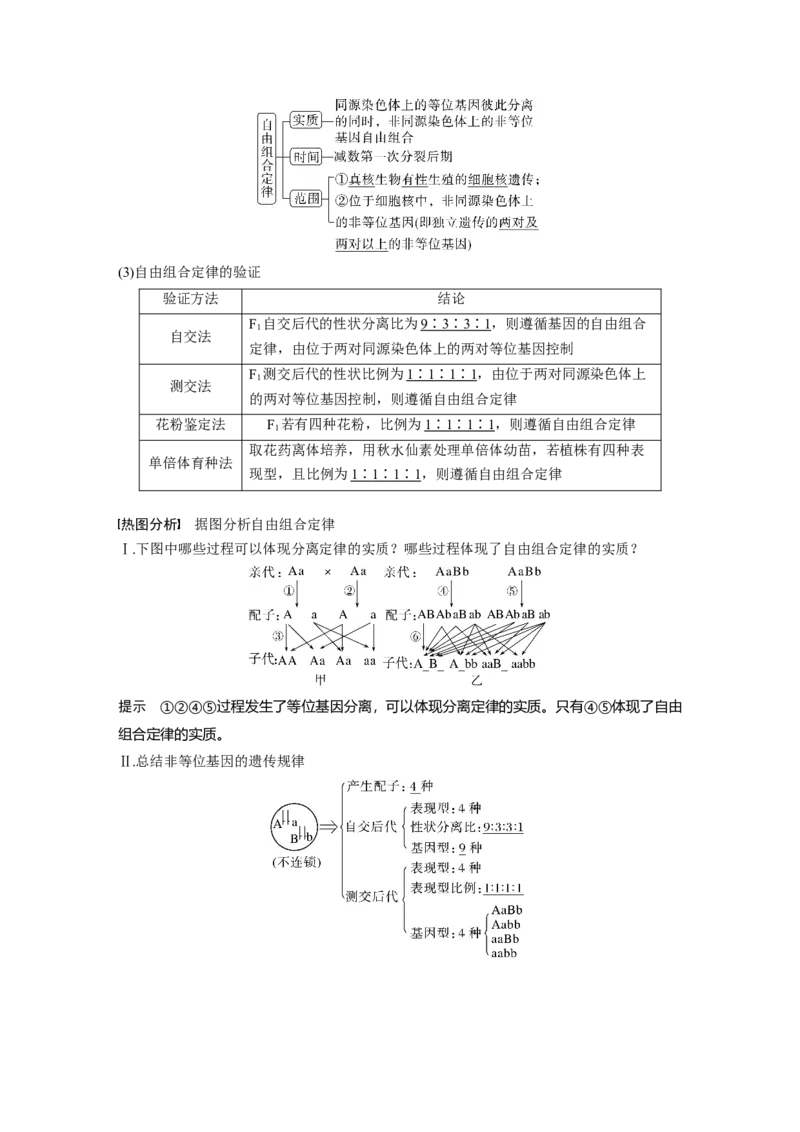 2023年高考生物一轮复习（全国版）第5单元第3课时　自由组合定律的发现及应用_通用版（老高考）复习资料_2023年复习资料_一轮复习_2023年高考生物一轮复习讲义+课件（全国版）
