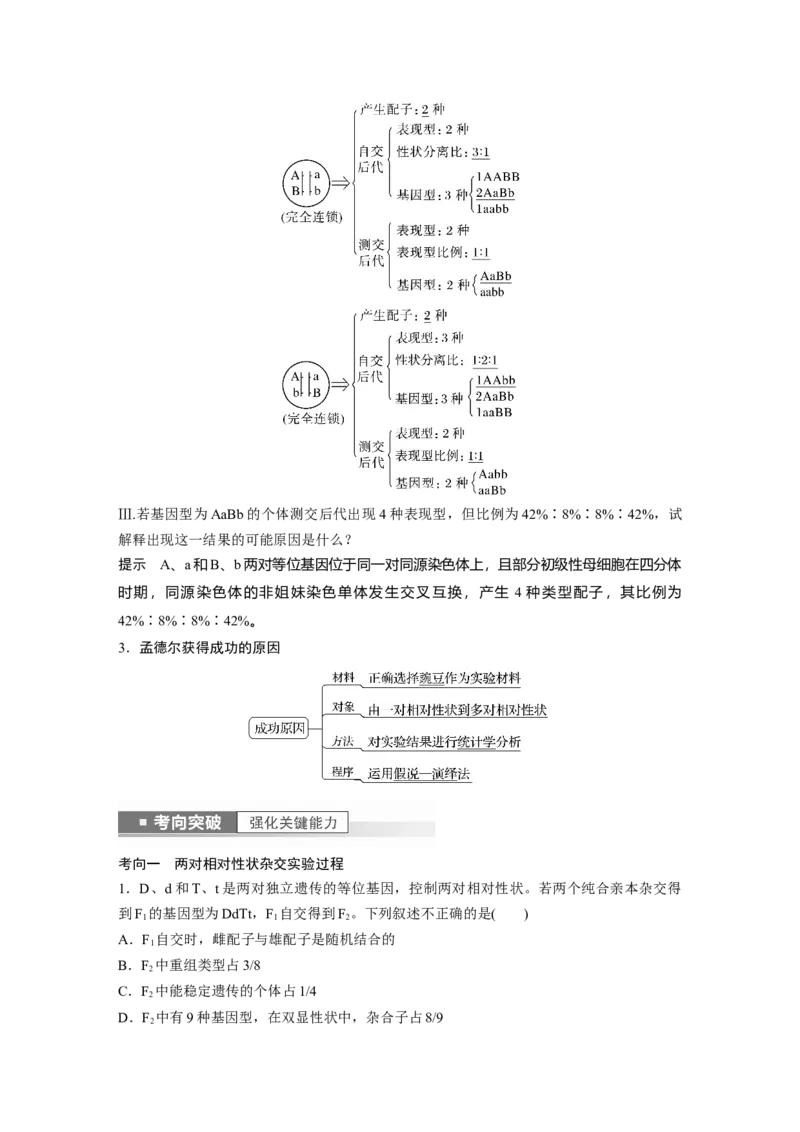 2023年高考生物一轮复习（全国版）第5单元第3课时　自由组合定律的发现及应用_通用版（老高考）复习资料_2023年复习资料_一轮复习_2023年高考生物一轮复习讲义+课件（全国版）