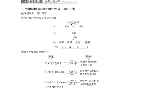 2023年高考生物一轮复习（全国版）第5单元第3课时　自由组合定律的发现及应用_通用版（老高考）复习资料_2023年复习资料_一轮复习_2023年高考生物一轮复习讲义+课件（全国版）