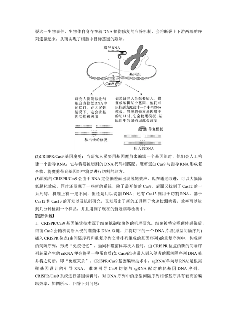 第10单元　解惑练5　CRISPRCas9技术_2024年新高考资料_1.2024一轮复习_2024年高考生物一轮复习讲义（新人教版）_学生版在此文件夹_一轮复习69练_第十单元　生物技术与工程