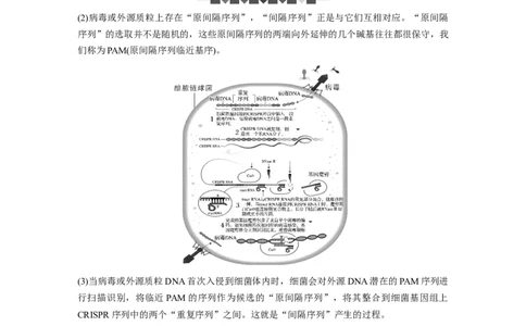第10单元　解惑练5　CRISPRCas9技术_2024年新高考资料_1.2024一轮复习_2024年高考生物一轮复习讲义（新人教版）_学生版在此文件夹_一轮复习69练_第十单元　生物技术与工程