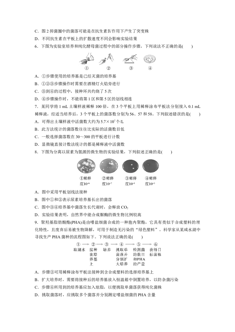 第10单元　课时练2　微生物的培养技术及应用_2024年新高考资料_1.2024一轮复习_2024年高考生物一轮复习讲义（新人教版）_学生版在此文件夹_一轮复习69练_第十单元　生物技术与工程