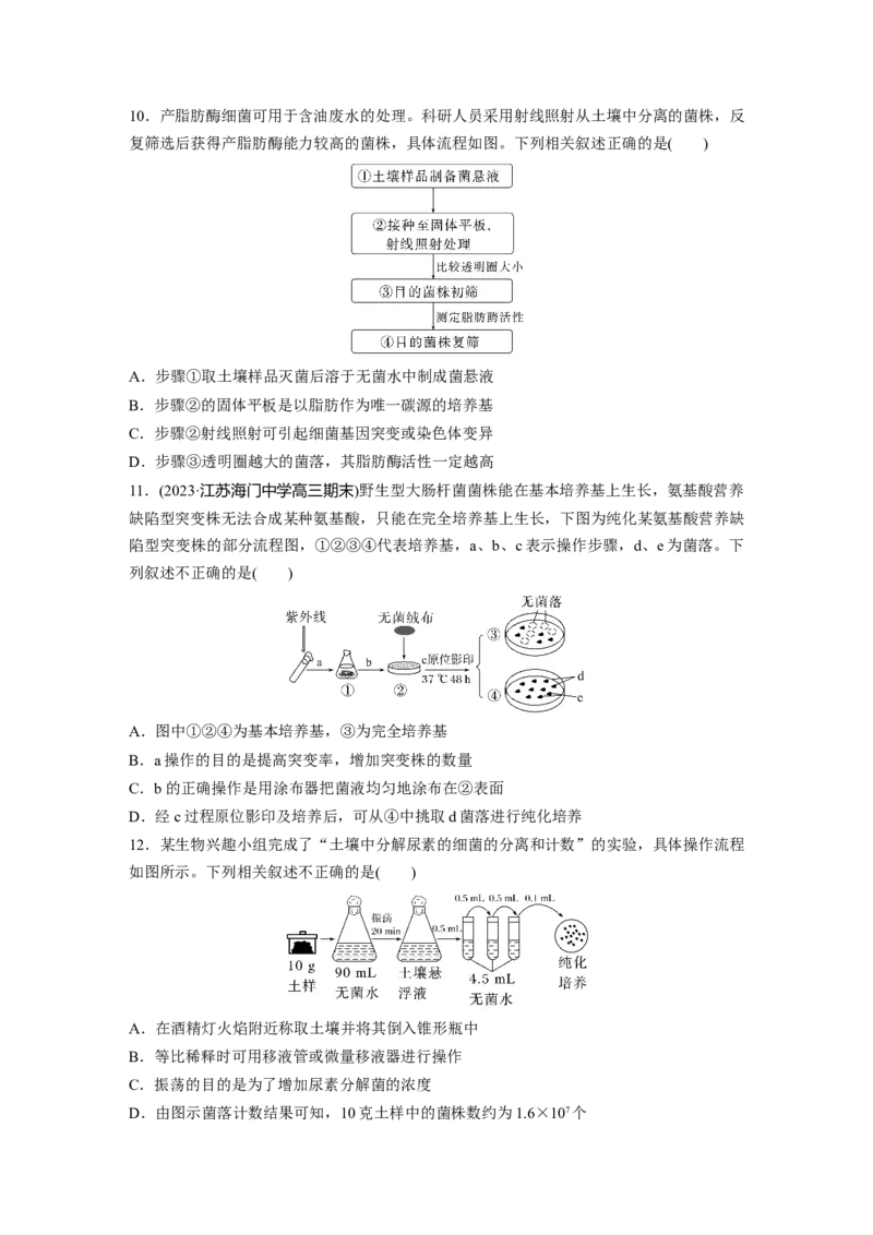 第10单元　课时练2　微生物的培养技术及应用_2024年新高考资料_1.2024一轮复习_2024年高考生物一轮复习讲义（新人教版）_学生版在此文件夹_一轮复习69练_第十单元　生物技术与工程