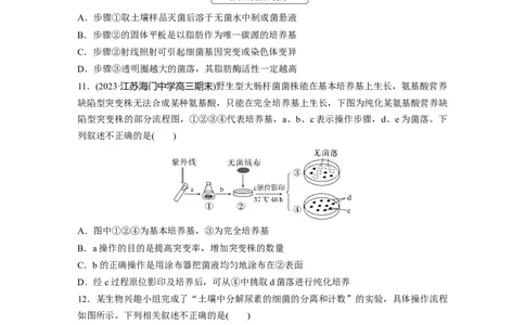 第10单元　课时练2　微生物的培养技术及应用_2024年新高考资料_1.2024一轮复习_2024年高考生物一轮复习讲义（新人教版）_学生版在此文件夹_一轮复习69练_第十单元　生物技术与工程