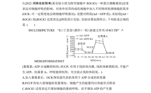 热点微练5细胞呼吸方式的判断(尖子生特训)_2024年新高考资料_1.2024一轮复习_2024年高考生物一轮复习讲义（新人教版）_另附1套Word版题库_必修1_第三单元细胞的能量供应和利用