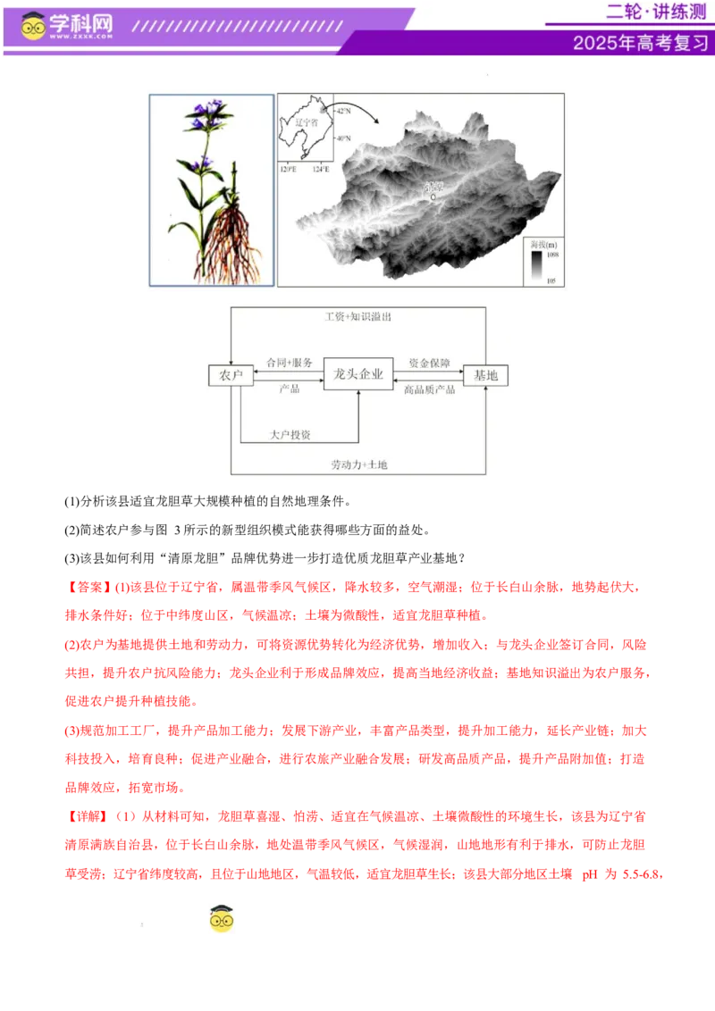 专题09产业区位与产业发展（练习）（解析版）_2025年新高考资料_二轮复习_上好课2025年高考地理二轮复习讲练测（新高考通用）3381954