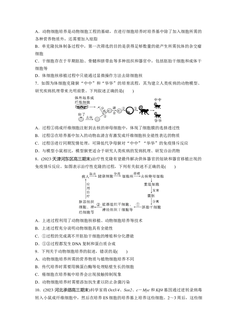 第10单元　课时练4　动物细胞工程_2024年新高考资料_1.2024一轮复习_2024年高考生物一轮复习讲义（新人教版）_学生版在此文件夹_一轮复习69练_第十单元　生物技术与工程