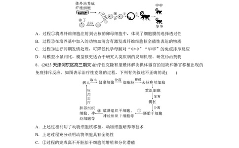 第10单元　课时练4　动物细胞工程_2024年新高考资料_1.2024一轮复习_2024年高考生物一轮复习讲义（新人教版）_学生版在此文件夹_一轮复习69练_第十单元　生物技术与工程