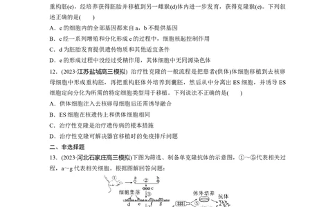 第10单元　课时练4　动物细胞工程_2024年新高考资料_1.2024一轮复习_2024年高考生物一轮复习讲义（新人教版）_学生版在此文件夹_一轮复习69练_第十单元　生物技术与工程